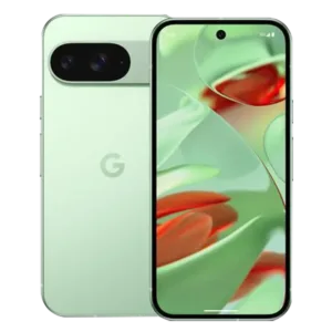 Google Pixel 9 5G (12GB RAM, 256GB, Wintergreen)